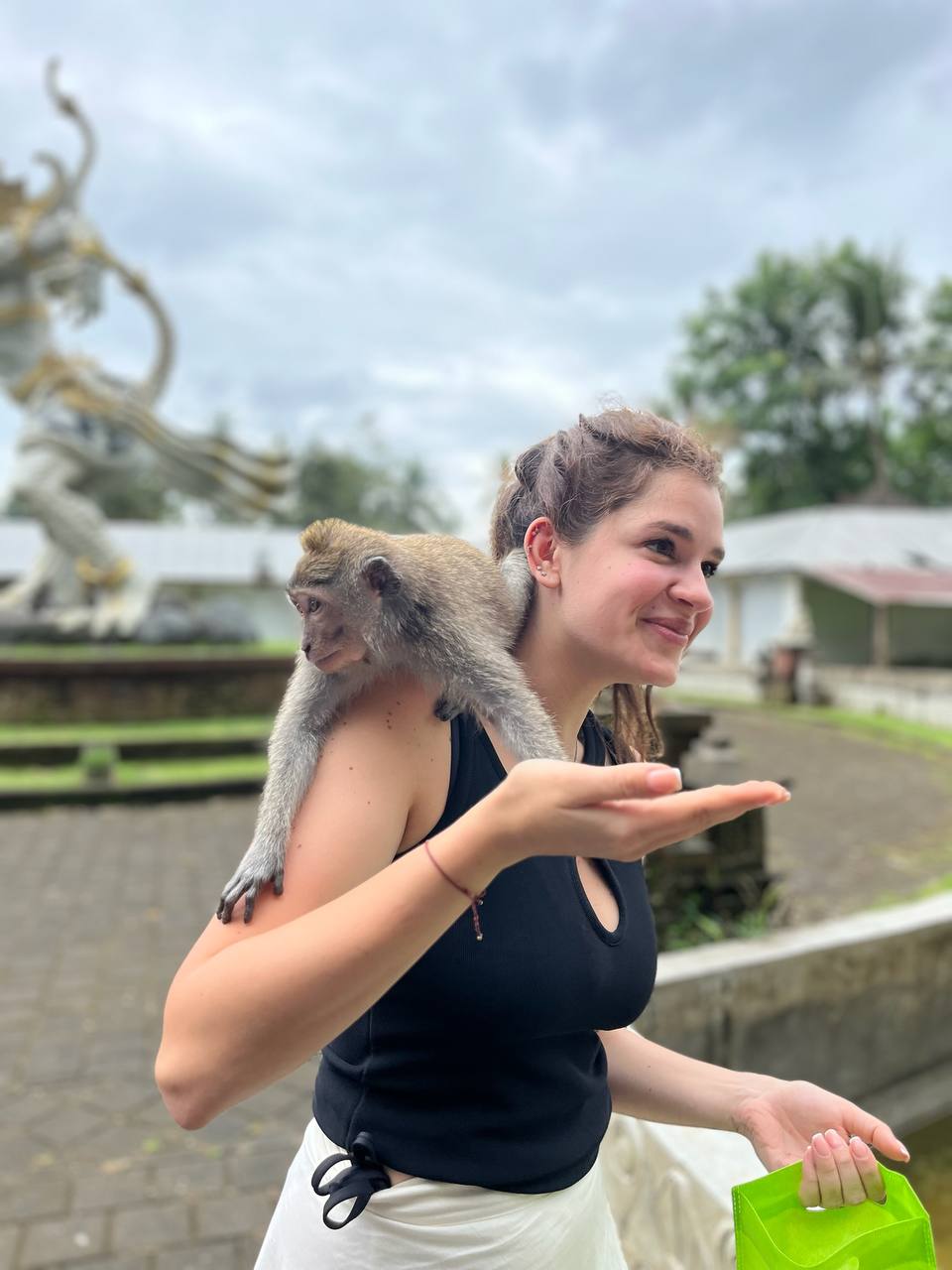 Природа Бали: водопад Секумпул, рисовые террасы, Лес обезьян или Ворота Хандара