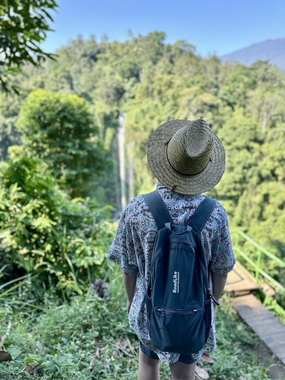 Природа Бали: водопад Секумпул, рисовые террасы, Лес обезьян или Ворота Хандара