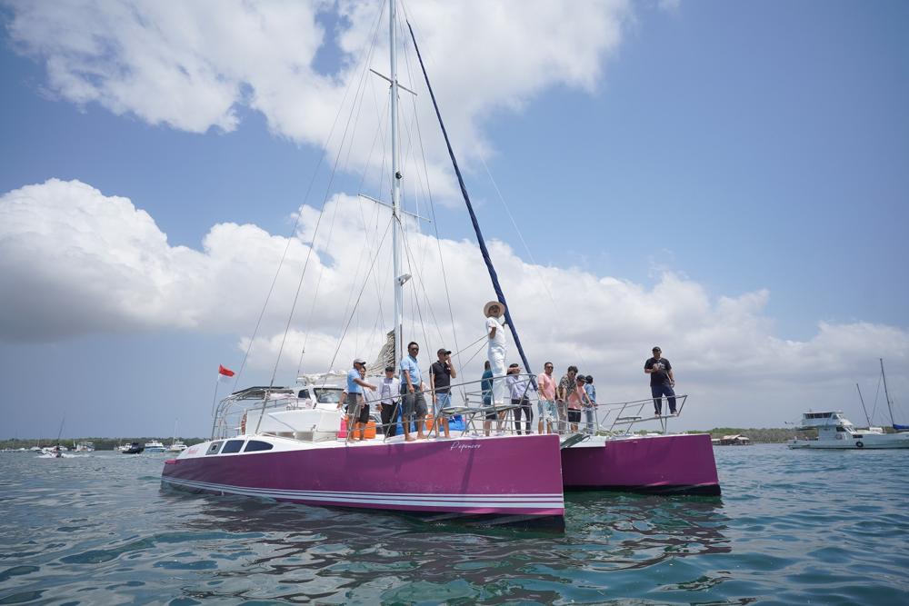 Small Catamaran Cruise (up to 15 guests)