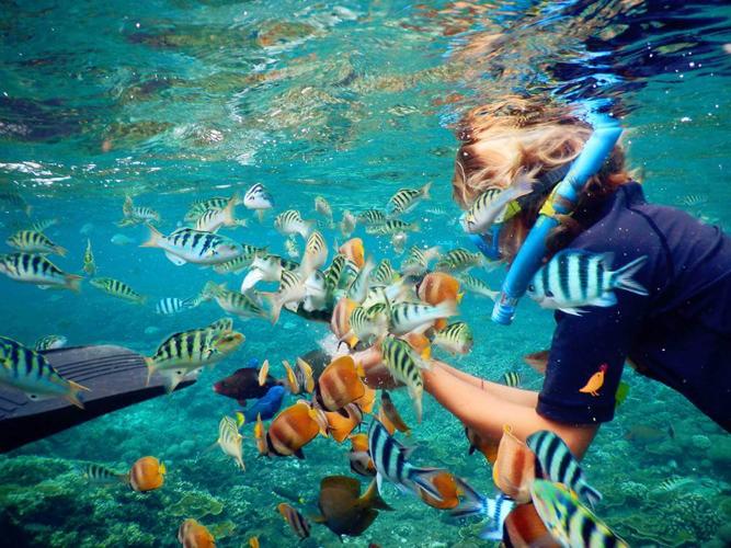 Snorkeling in Amed and Tulamben