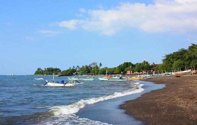 Lovina Beach Dolphin Snorkeling Tour
