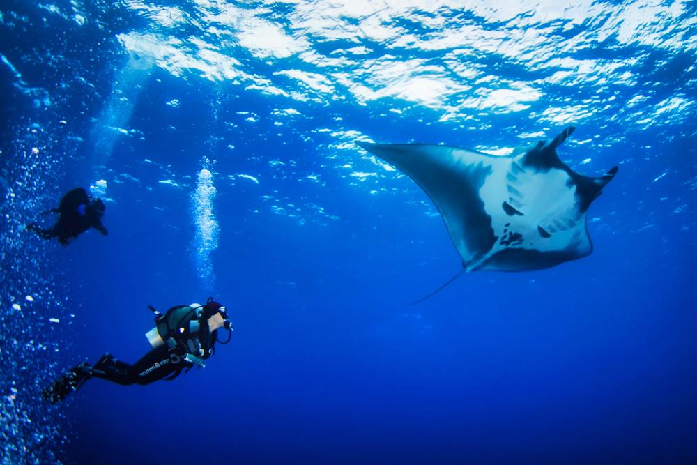 Diving in Bali and Nusa Penida