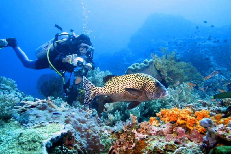 Diving in Bali and Nusa Penida