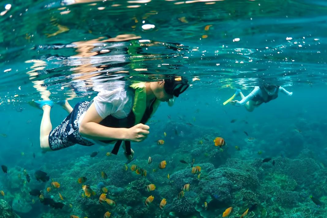 Manta Ray Snorkeling at Nusa Penida