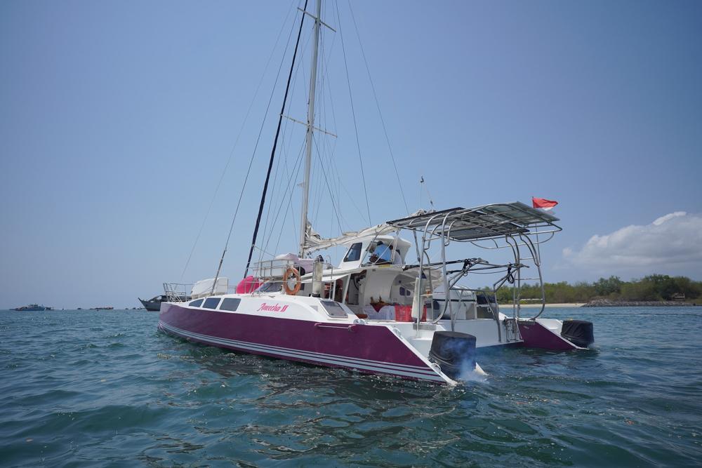 Small Catamaran Cruise (up to 15 guests)