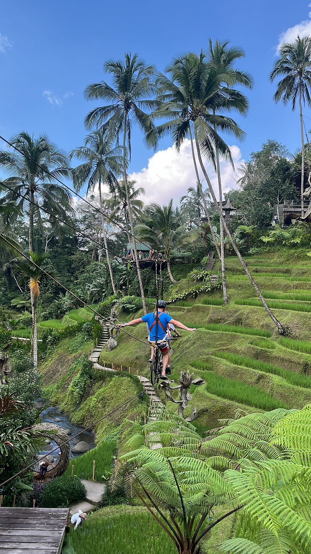 Убуд: церемония очищения на водопаде Таман Бежи Грия, рисовые террасы, храм Гоа Гаджа или Лес Обезьян