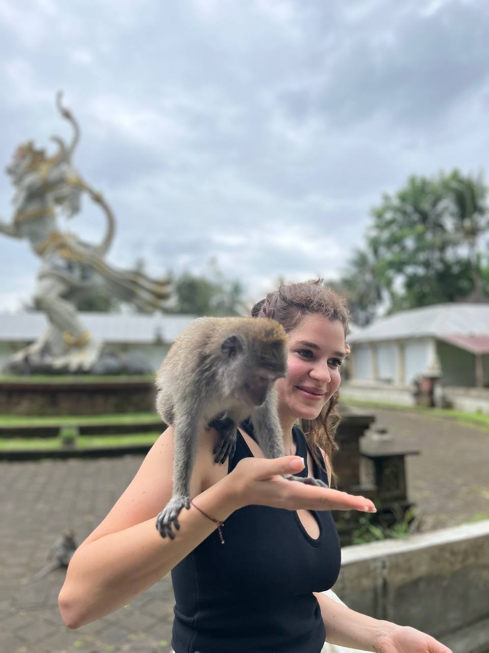 Природа Бали: водопад Секумпул, рисовые террасы, Лес обезьян или Ворота Хандара