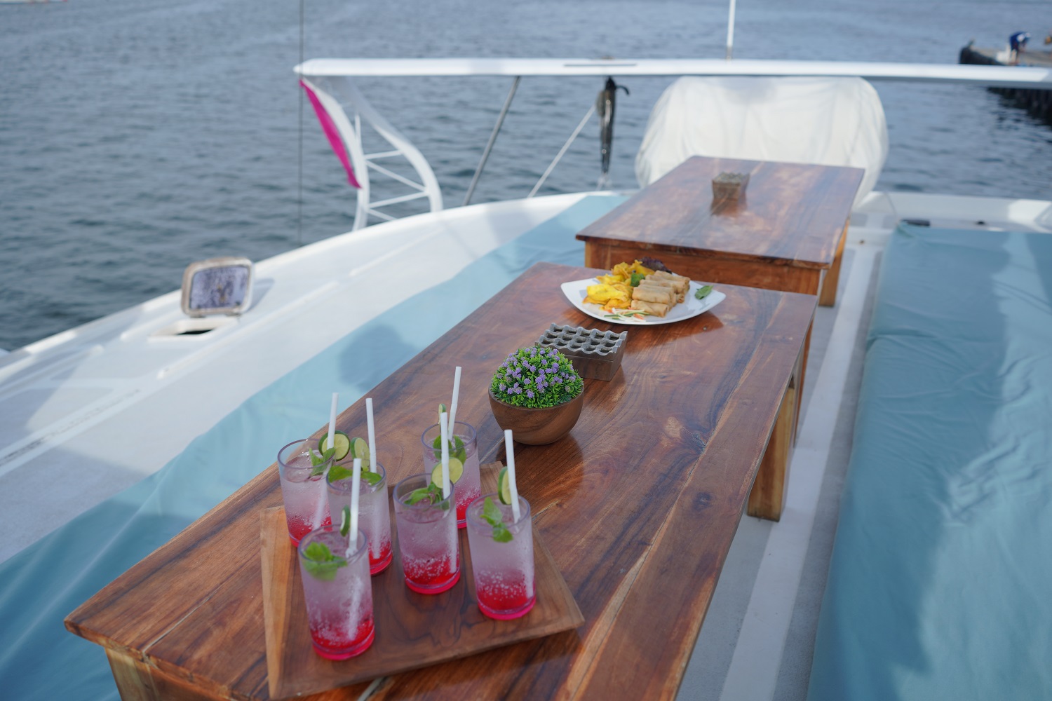 Круиз на большом катамаране (до 40 чел)