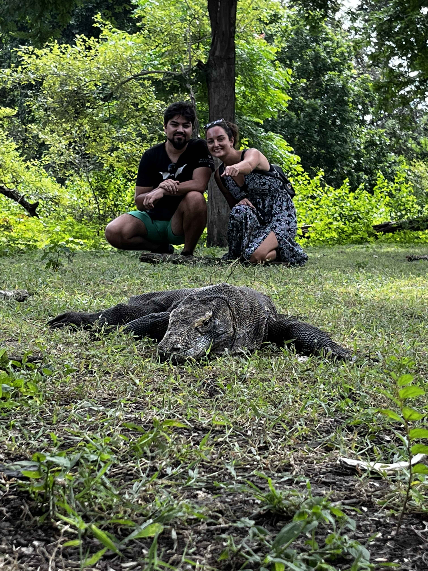 Остров Флорес (Аэропорт Комодо) Остров Флорес (Аэропорт Комодо)