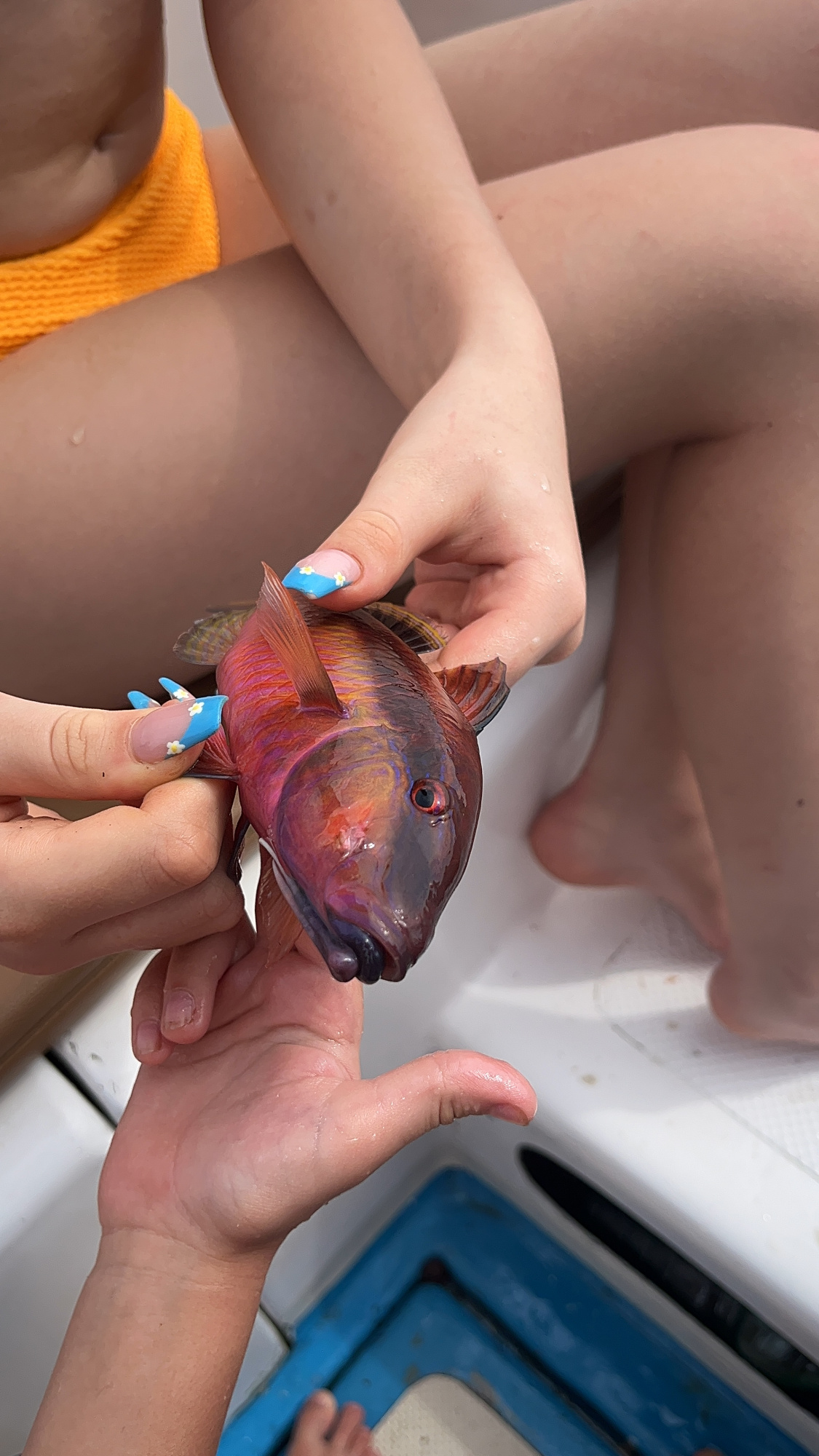 Круиз на маленькой яхте (до 10 чел)