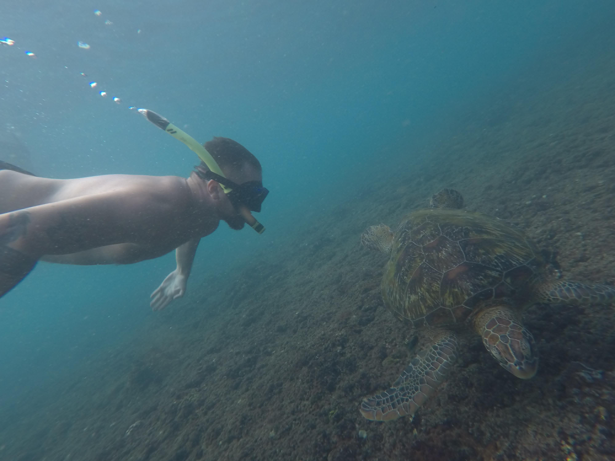 Снорклинг в районах Амед и Туламбен Снорклинг в районах Амед и Туламбен